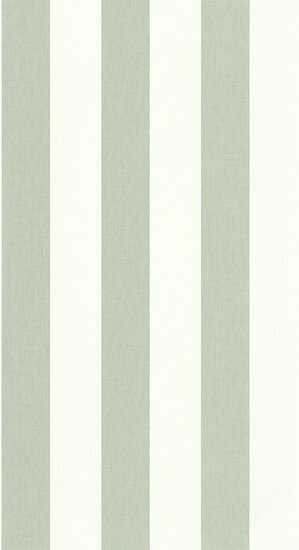 Caselio Basics BAI104047004 - Groen Behang