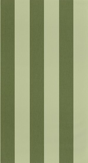 Caselio Basics BAI104047267 - Groen Behang