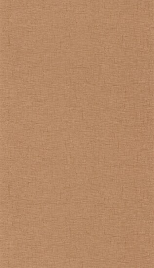 Caselio Gaze GAZ103762340 - Bruin Behang