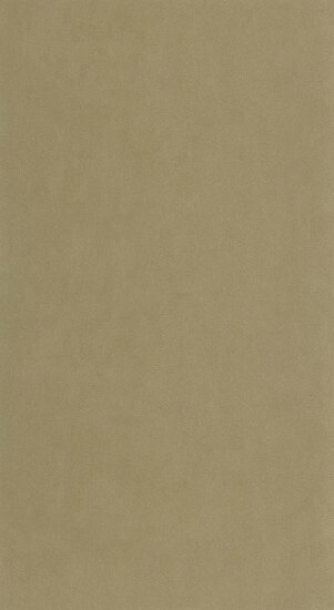 Casadeco Riverside 4 RIVI86421241 - Beige Behang