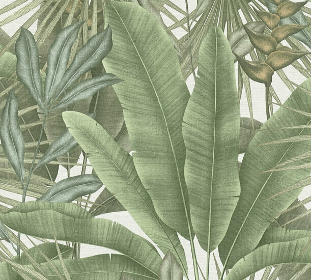 AS Creation Stories of Life - 39647-2 / 396472 Groen Behang