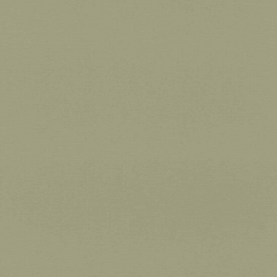 Rasch Country Charme / Allegretto 692709 Groen Behang