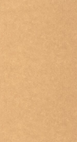 Caselio Ceramique CER105243000 - Oranje Behang