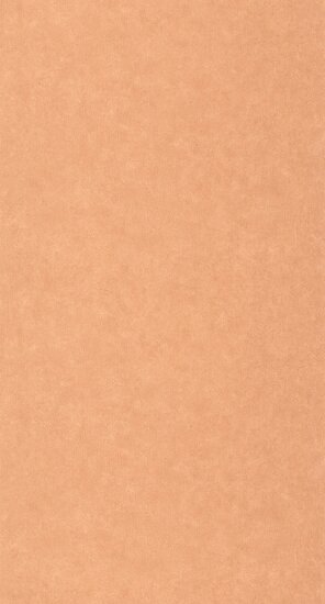 Caselio Ceramique CER105243030 - Oranje Behang