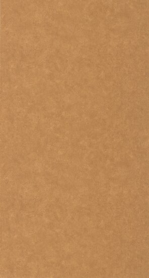 Caselio Ceramique CER105243148 - Bruin Behang