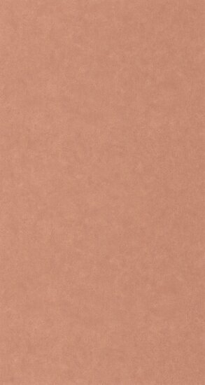 Caselio Ceramique CER105244130 - Roze Behang