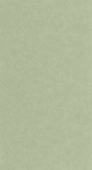 Caselio Ceramique CER105247740 - Groen Behang
