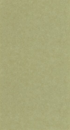 Caselio Ceramique CER105247850 - Groen Behang