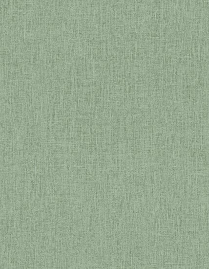 HookedOnWalls CABANE UNITO 20906 Groen Behang