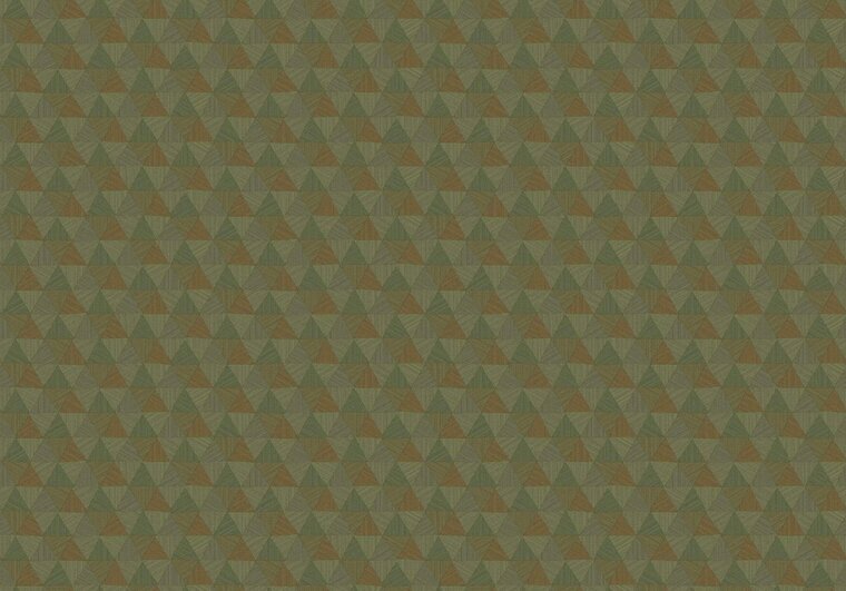 HookedOnWalls JV 602 JAIPUR TRIANGLES TROPICALES 6834 Behang