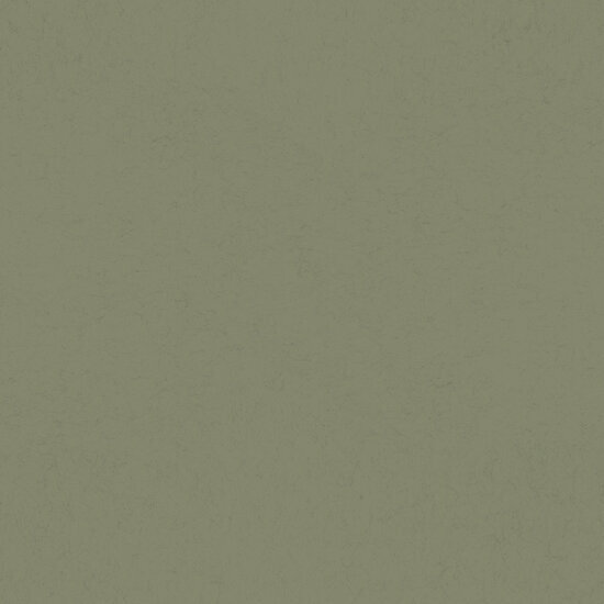 Dutch First Class Midbec Langenas 77007 Groen Behang