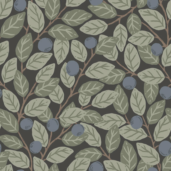 Dutch First Class Midbec Klara &amp; Tove 26016 Bruin / Groen / Blauw Behang