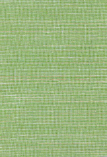 Greenland Natural Palette N168NA2081 - Abaca Groen Behang