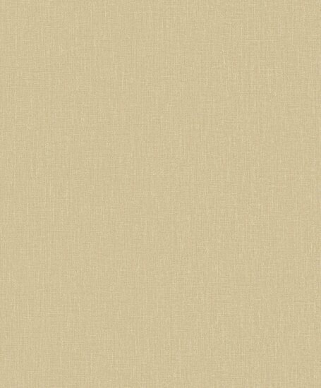 HookedOnWalls Passe Partout Tone on Tone PLAIN 4492 Behang