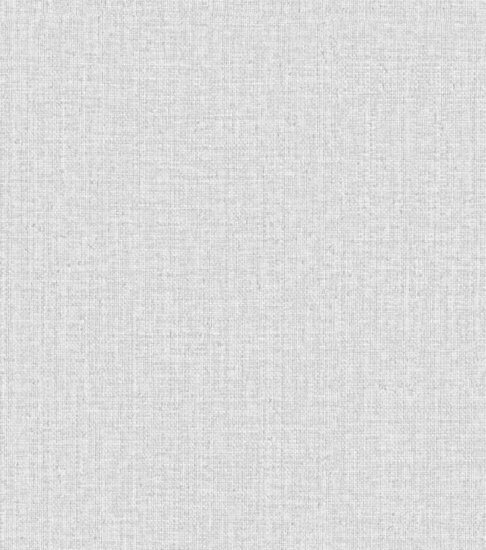 HookedOnWalls Passe Partout Tone on Tone 4513 Behang