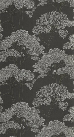 Caselio Azur AZU105439058 - Zwart Behang