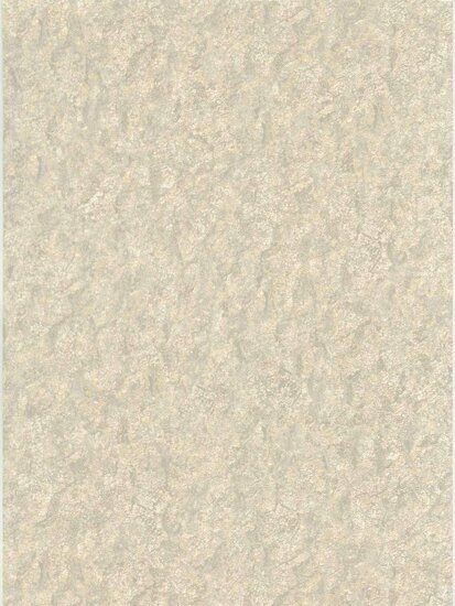 Dutch First Class Fusione 73511 Crème / Grijs Behang