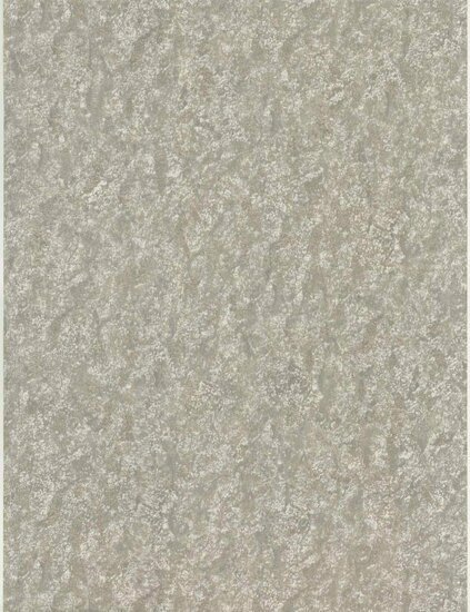 Dutch First Class Fusione 73512 Taupe Behang