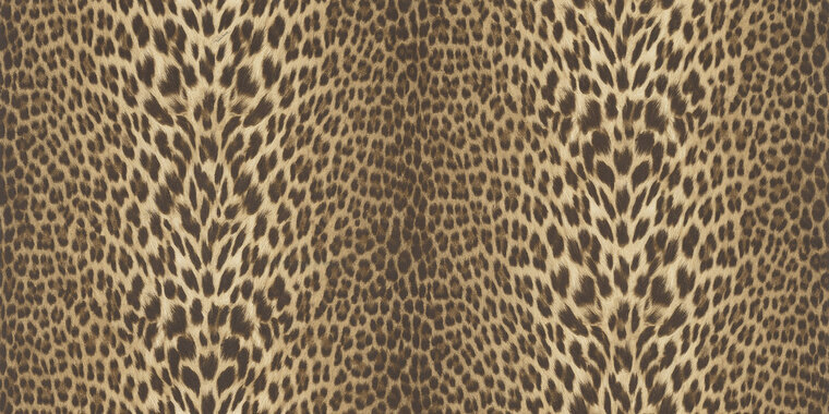 Dutch First Class Roberto Cavalli 9 21041 - Bruin Behang