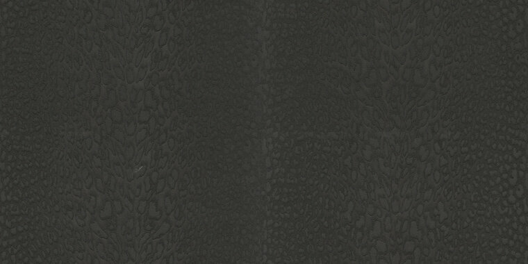 Dutch First Class Roberto Cavalli 9 21044 - Zwart Behang