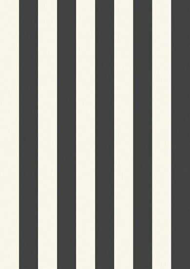 Rasch Sch&ouml;ner Wohnen Cosy Living 366662 Zwart Behang