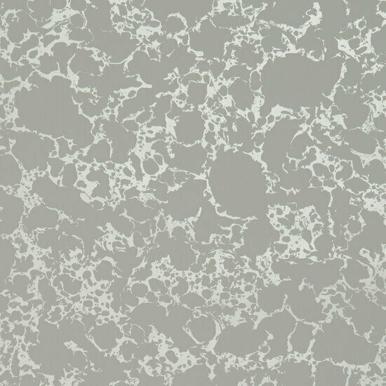 Clarke & Clarke Botanica W0096/03 - Grijs Behang