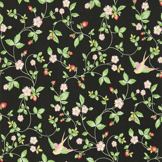 Clarke &amp; Clarke Botanical Wonders W0135/04 - Zwart Behang