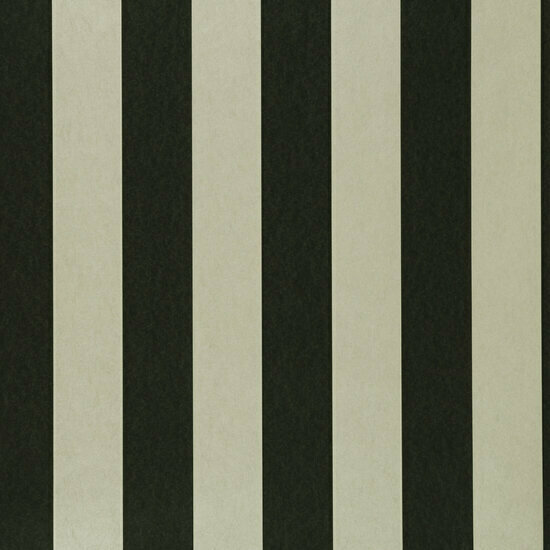 Clarke &amp; Clarke Colony W0085/02 - Zwart Behang