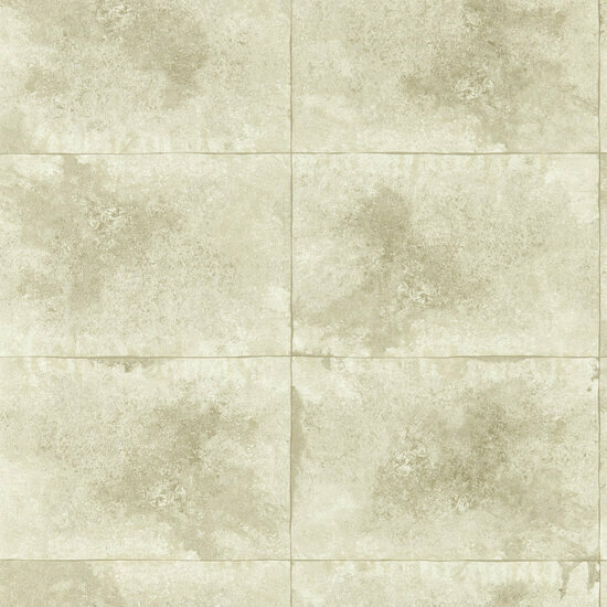 Clarke &amp; Clarke Fushion W0151/02 - Beige Behang
