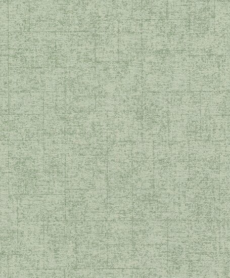Rasch Tapetenwechsel II 507843 Groen Behang