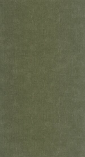 Casadeco &eacute;tamine 200257808 - Groen Behang