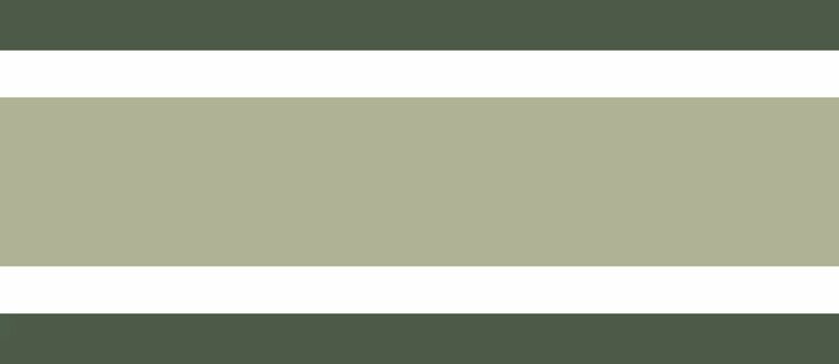 Casadeco Galons &amp; Frises 200387732 - Groen Behang