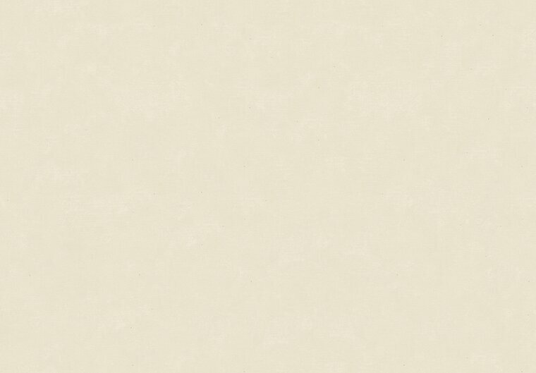 HookedOnWalls NEW BALI 46802 Cr&eacute;me Behang