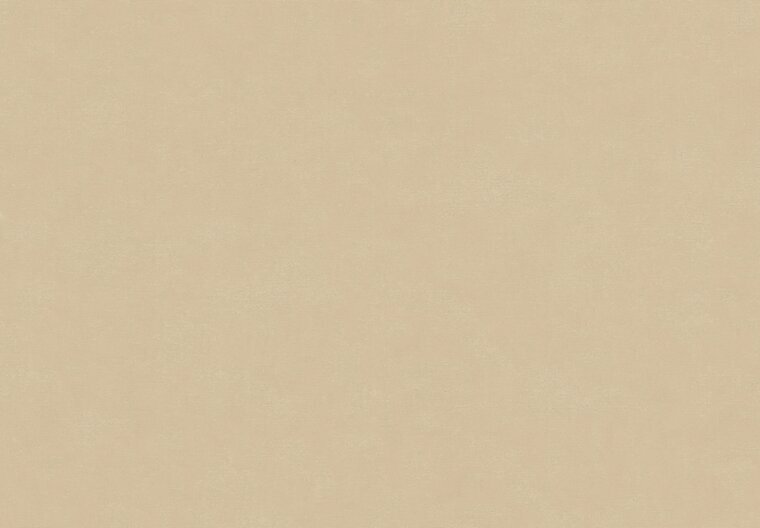 HookedOnWalls NEW BALI 46809 Beige Behang