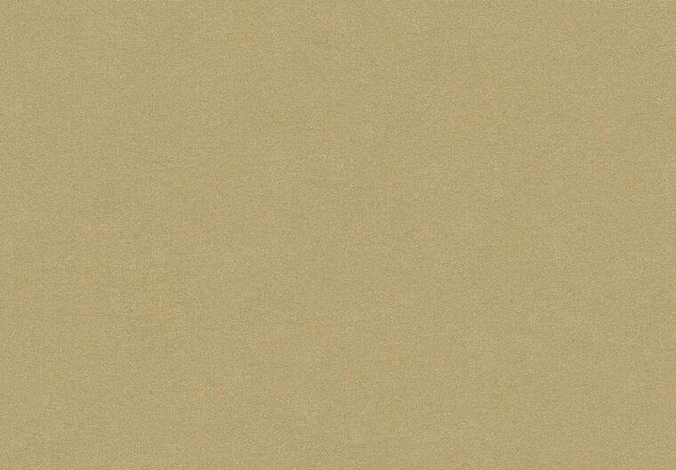HookedOnWalls NEW BALI 46811 Beige Behang