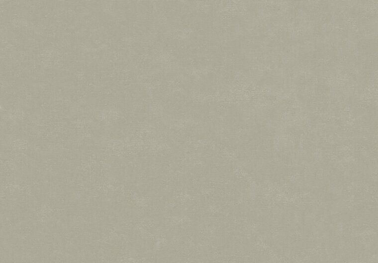 HookedOnWalls NEW BALI 46817 Taupe Behang