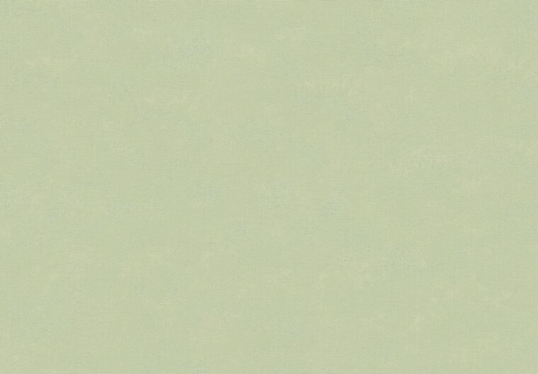 HookedOnWalls NEW BALI 46820 Groen Behang