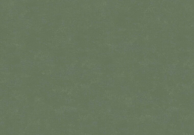 HookedOnWalls NEW BALI 46823 Groen Behang