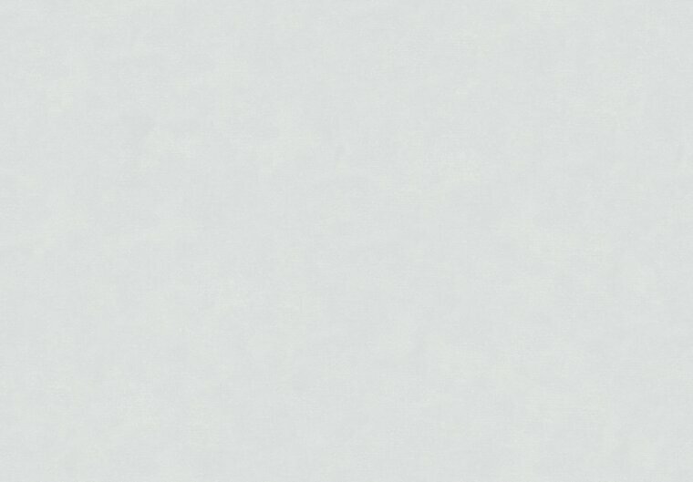 HookedOnWalls NEW BALI 46830 Grijs Behang