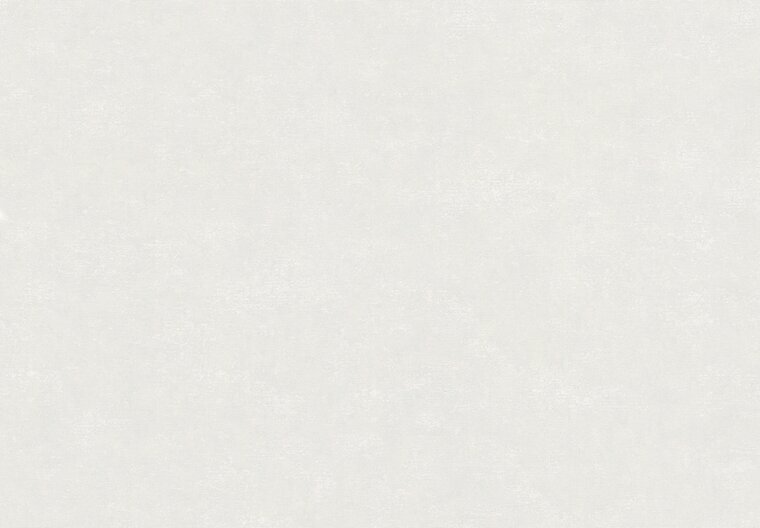 HookedOnWalls NEW BALI 46836 Grijs Behang