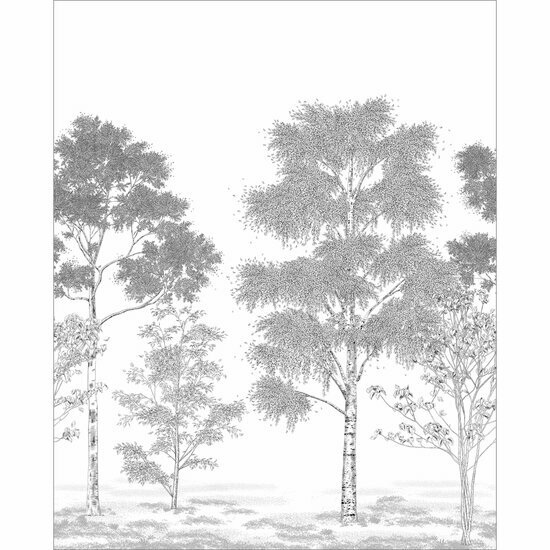 Caselio Balade - Zwart BLD106169002 Behang