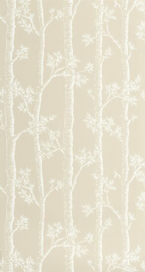 Caselio Balade - Wit BLD106121109 Behang