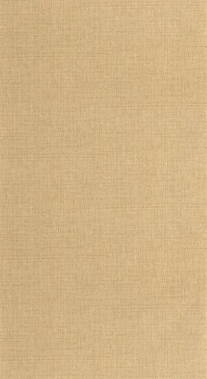 Caselio Matieres - Beige MMT105971245 Behang