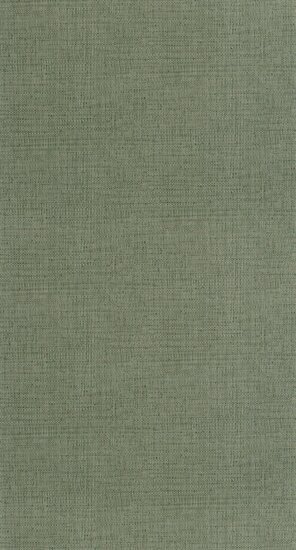 Caselio Matieres - Groen MMT105977206 Behang