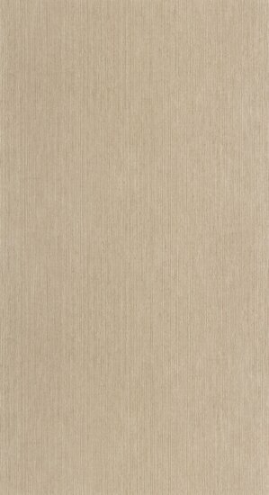 Caselio Matieres - Bruin MMT106012178 Behang