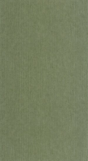 Caselio Matieres - Groen MMT106017230 Behang