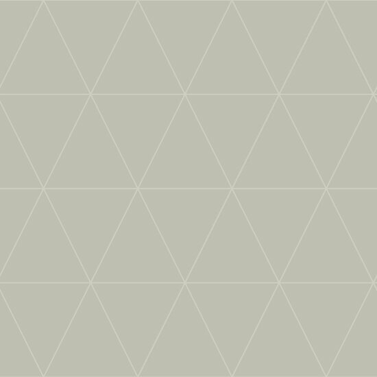 Origin Wallcoverings City Chic 347744 - Grijs Behang