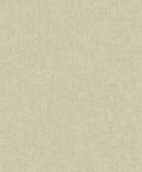 Dutch Wallcoverings Feature Walls FW1021 - Beige Behang