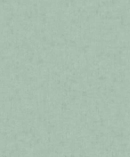 Dutch Wallcoverings Feature Walls FW1026 - Blauw Behang