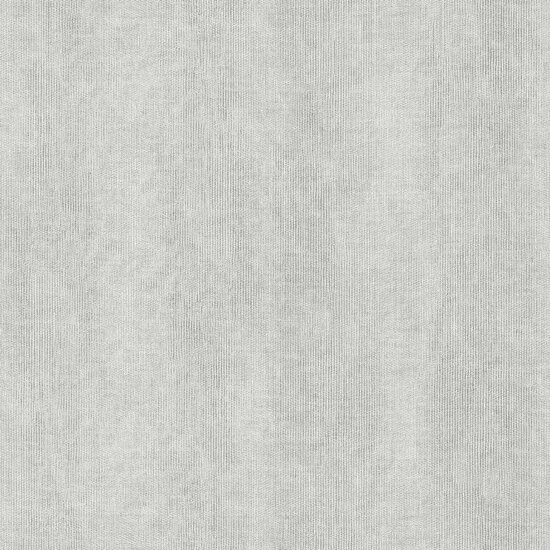 Dutch Wallcoverings Feature Walls FW1034 - Grijs Behang